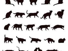 [내스급/현제유진] Grooming