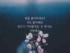 영원의 내기