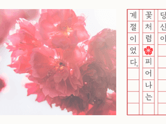 당신이 꽃처럼 피어나는 계절이었다