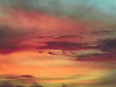 주인공에 대하여 11