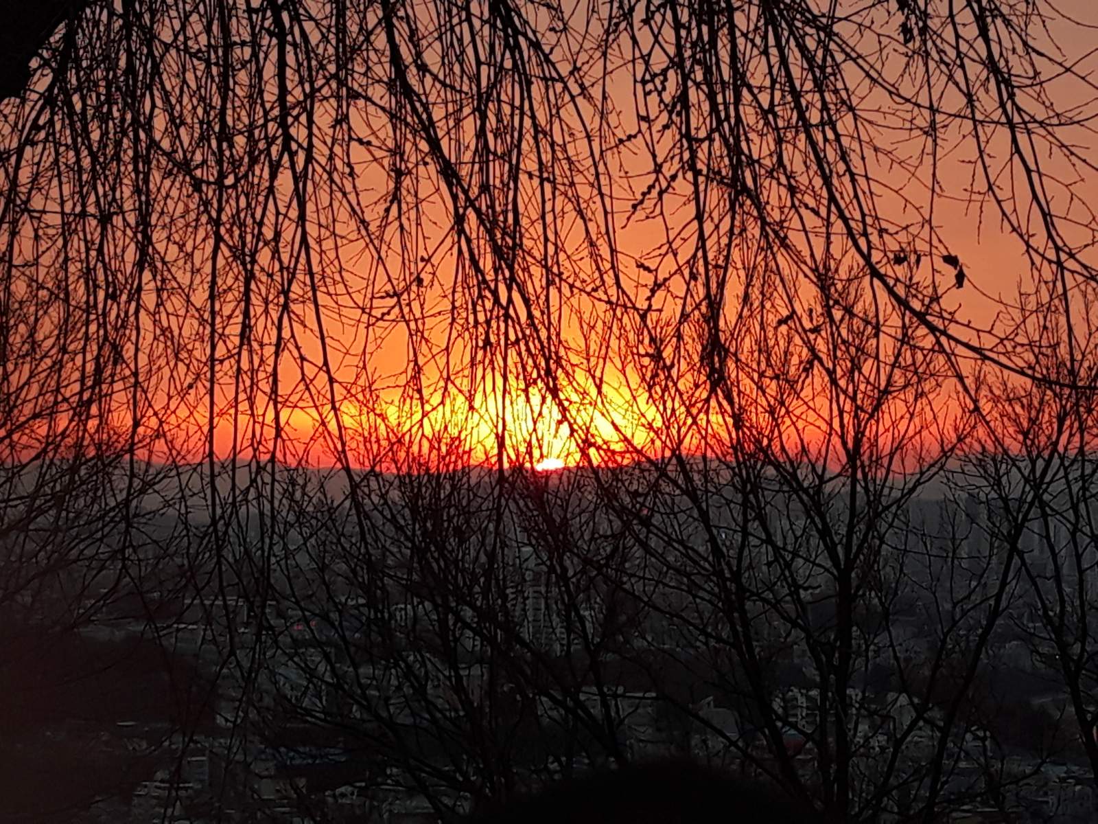 데못죽] 코인딜도: crimy - 글을 적어요!