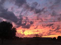 사랑하는 너에게