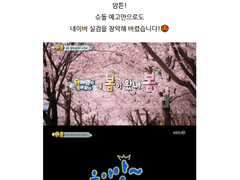 회사 작업물 || 장범준 콘서트 - 서울 노래방에서