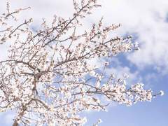 [웨이란] 一不做二不休