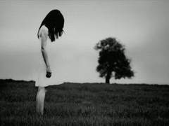 【 관우유비 】소유욕