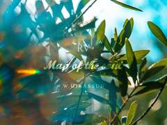 190426 랩뷔/RV_MAP OF THE SOUL