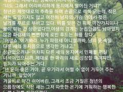 로빈 후드와 파랑새 이야기