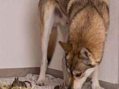 수인캠게물 세준 썰