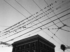 착각의 집, 과천