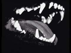 [뉴트민호/늍민] 개와 늑대의 시간 03