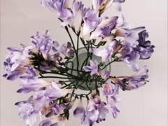 [원민] With Flower 1