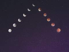 동화시리즈 텍스트파일 공유