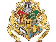 [HTTYD] 데걸히컵 호그와트 AU 어쩌구