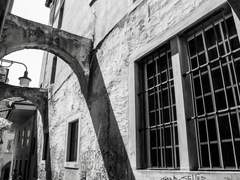 [현제유진] 우리의 밤은 당신의 낮보다 아름답다 (5)