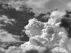 [노아유진] 우리들의 모든 건 꿈보다 못한 일이라고 上