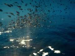 황천기담 : 악마가 사는 강