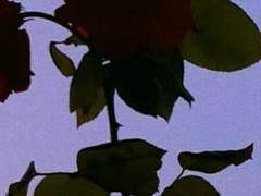 [ 헨논이벨 ] 마지막 명령