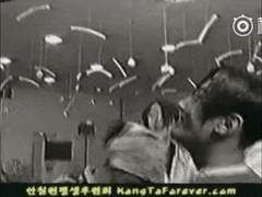 올리고싶었던 움짤