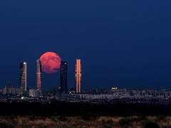 [인장지원] 시노노메 시즈쿠 / 온천 청소부