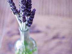 [백도]대답해줘 上