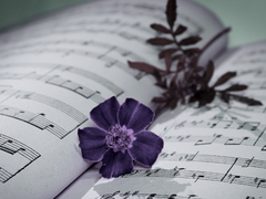 탐답알, 미련종속 시나리오 PDF 다운로드