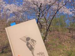 까칠한 재석이가 결심했다 서평