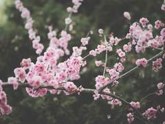 [진혼/웨이란] 당신의 내일에 내가 있다면.