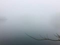 페르세쿼르(pérsĕquor)