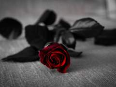 사마이치 / 心中 上