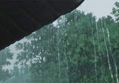 [피터토니 장편소설] 초혼-1