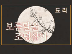 보름달을 조명 삼아