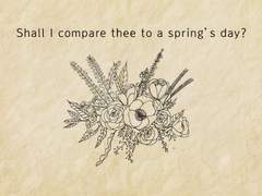 (레오이즈) Shall I compare thee to a spring's day?