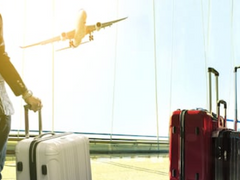 [명탐정코난] 좋아한다고 말해볼걸- (신시)