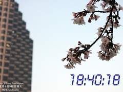 [신사쿠/사쿠신] 18:40:18