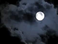 꿈에서 깨어나도 변함없이