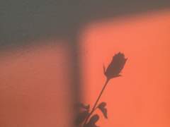 낭만에 허기졌던 외사랑