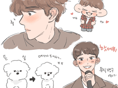 배쿠랑 비비랑 종댕