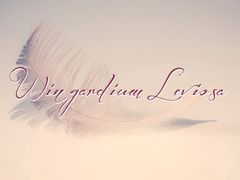 윙가르디움 레비오우사