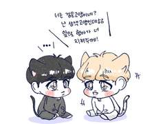 흑재규어X삼색강양이