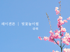 [레이겐른] 벚꽃 놀이