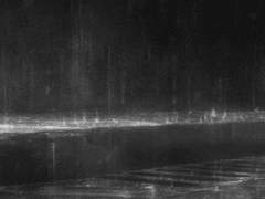 [방탄팬픽/국민/뷔민] 풀꽃수목원 28