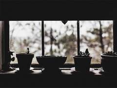 [랩슈] 비 오는 날 上