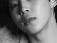 [방탄팬픽/국민/뷔민] 풀꽃수목원 29