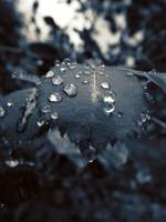 [논알패스 프로젝트] [뉴이스트] 완벽한 Finale를 위한 서사곡