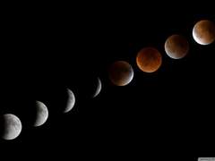 (500) 감탄을 담은 구구절절 (500)