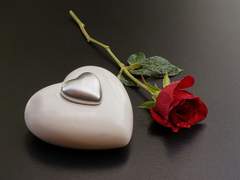 [둥굴레차!/건가람] 태풍의 눈을 지나