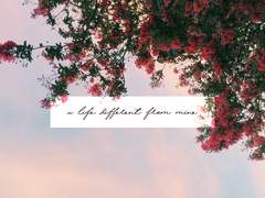 나와는 다른 삶