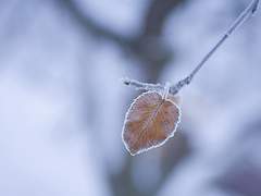 12월의 하늘아래