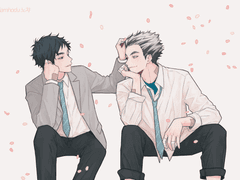 보쿠아카 - 벚꽃