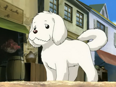 꼴등이어도, 괜찮아